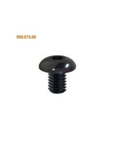990 - Tornillos Torx 2