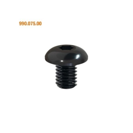 990 - Tornillos Torx