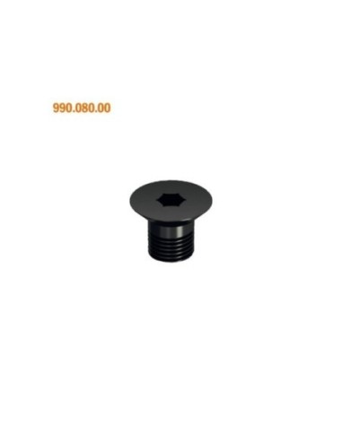 990 - Torx-Schrauben