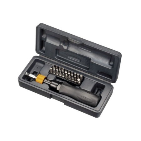Juego destornillador dinamométrico ajustable 1~6 Nm