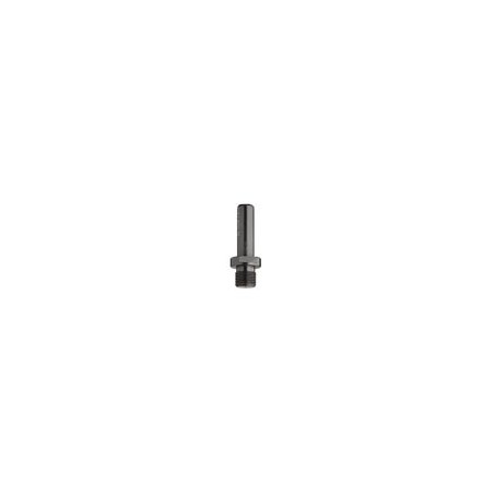 Adaptors with parallel shank for interchangeable bits