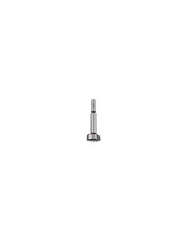Forstner Bits