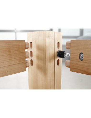 Festool Anclaje de expansión SV-SA D14/32