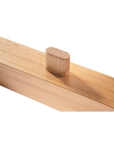 Festool Tacos DOMINO de haya D 10x100/120 BU