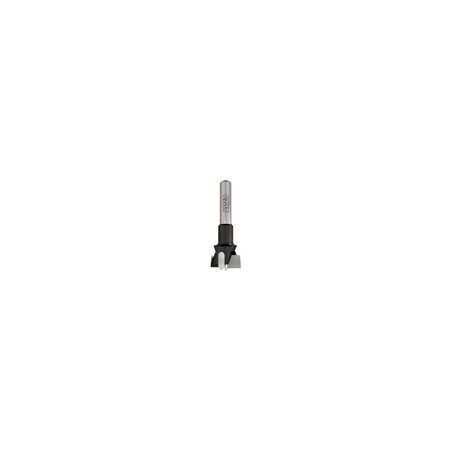 Boring bits with parallel shank